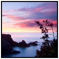 Marlborough Sounds